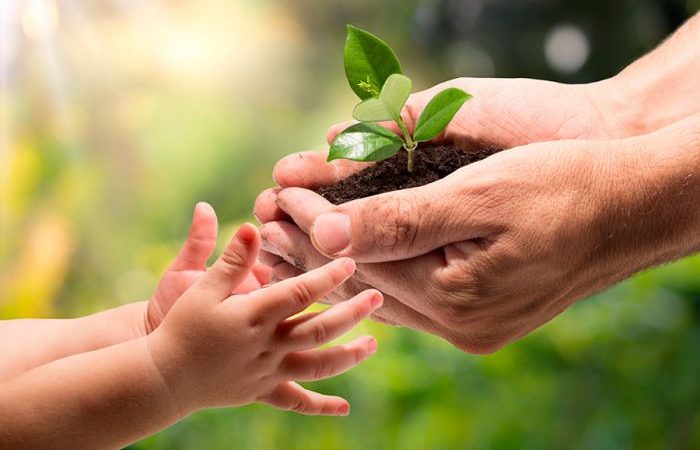 Consciência ecológica – Por Ivone Boechat